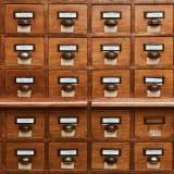 Job Profiles in Focus: The Database Administrator