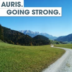 AURIS GROUP