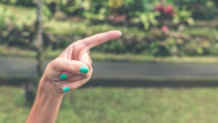 Where Can I Find Company Reviews?