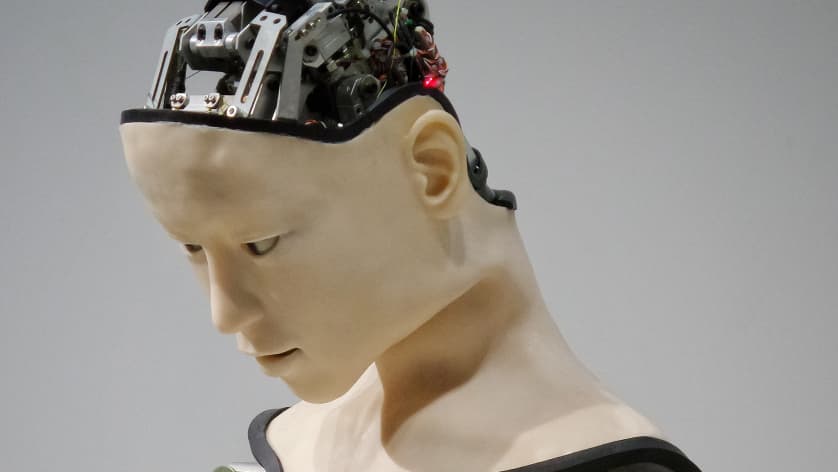 How Do Robots Function?