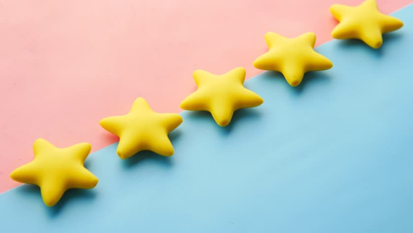 DevWorkplaces.com - The Platform for Authentic Employer Reviews