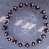 Team insight Team Culture