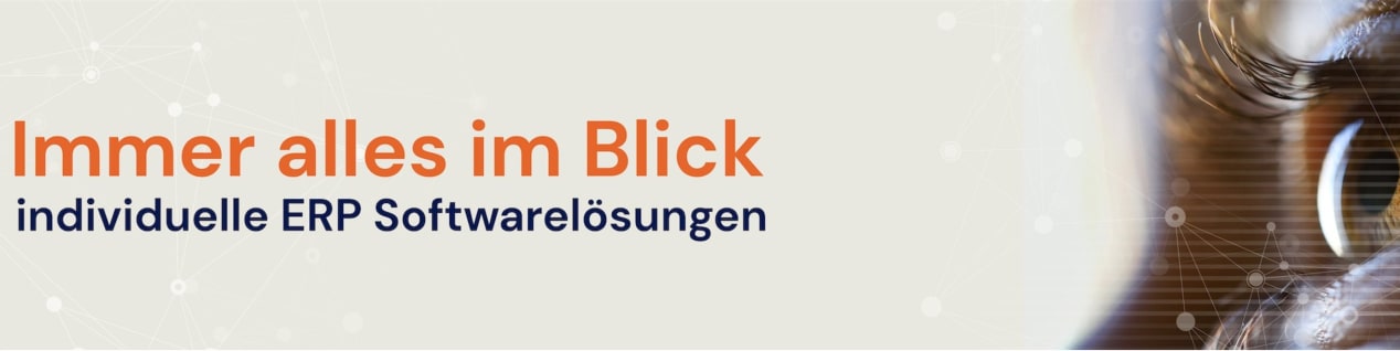 Workplace Image runDATA Software and Consulting Gmbh
