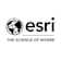 Logo ESRI Vienna R&D Center