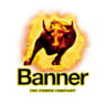 Logo Banner