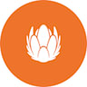 Logo Liberty Global Services GmbH