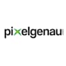 Logo Pixelgenau Consulting GmbH